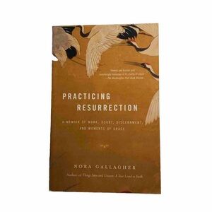 Practicing Resurrection: A Memoir of Work, Doubt, Discernment & Moments Book